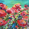 Poppies and wind